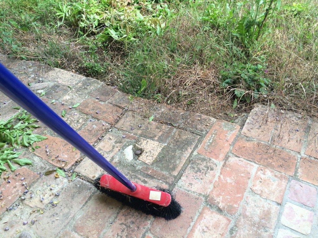 藤の花を掃除