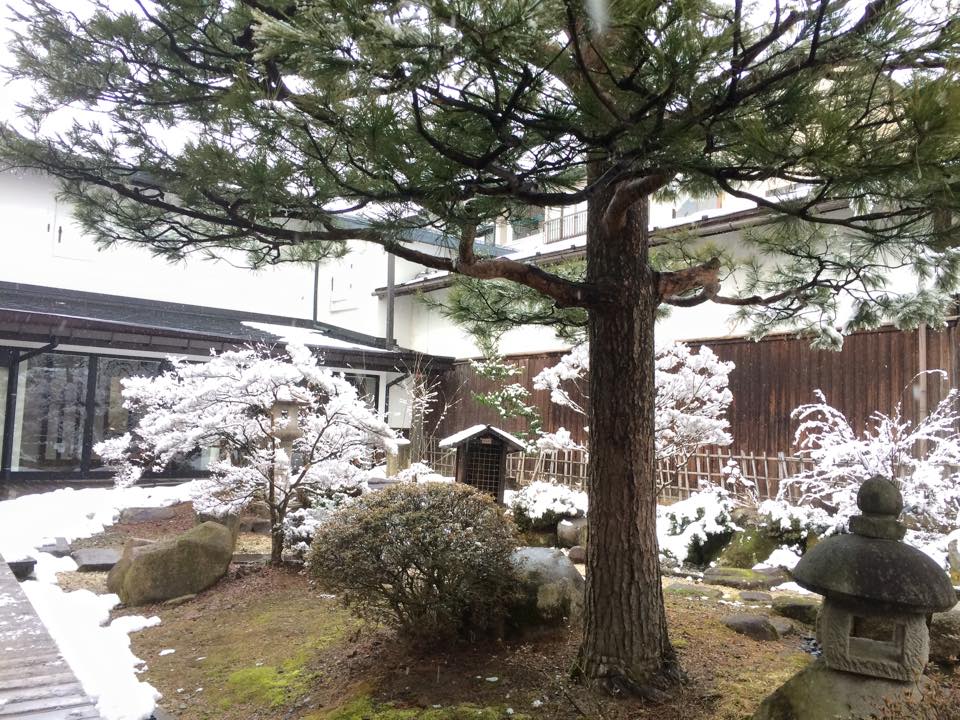 資料館の庭園