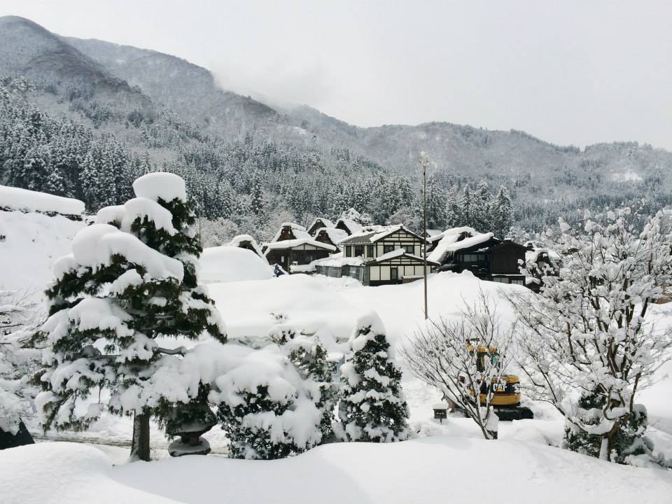 雪が降り積もる木