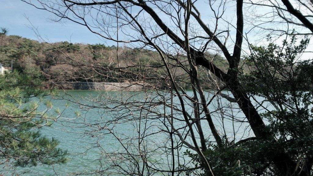 青い池