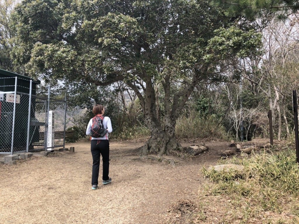 城山到着