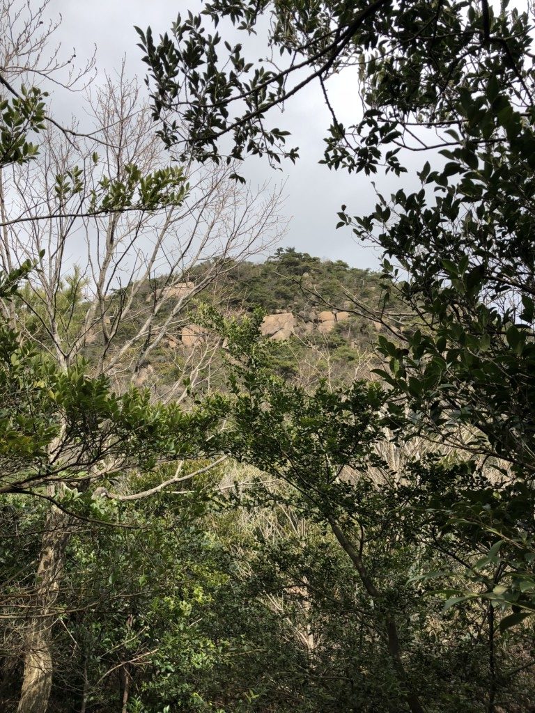 荒地山までもう少し