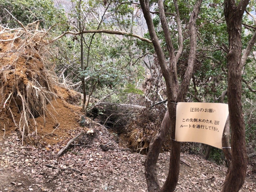 迂回の案内