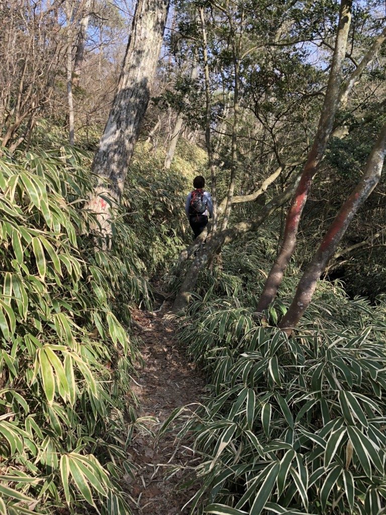 観音山トレイル