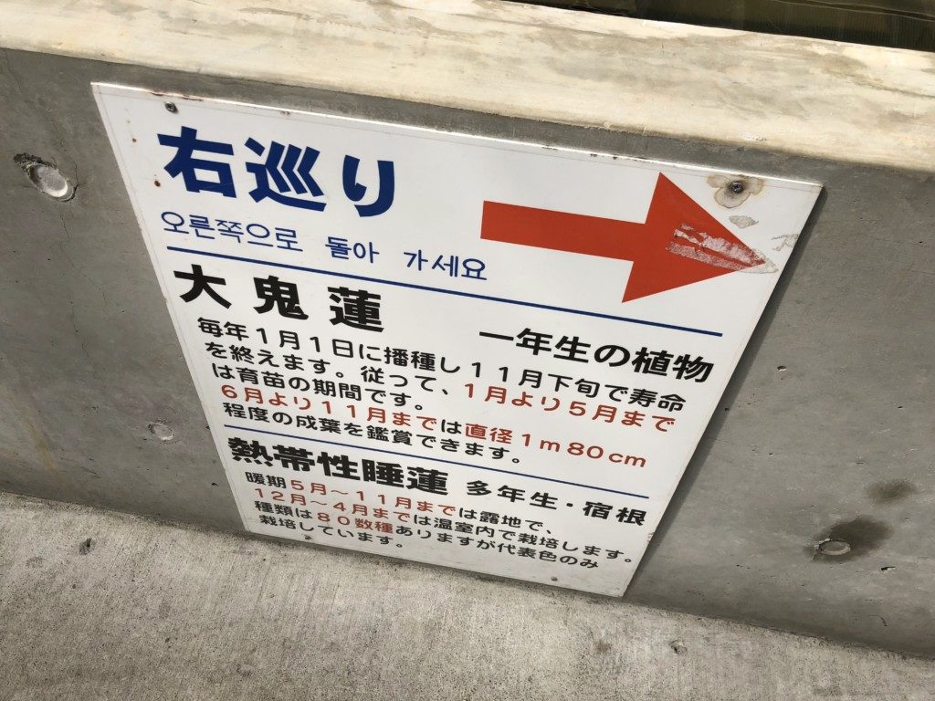 大温室