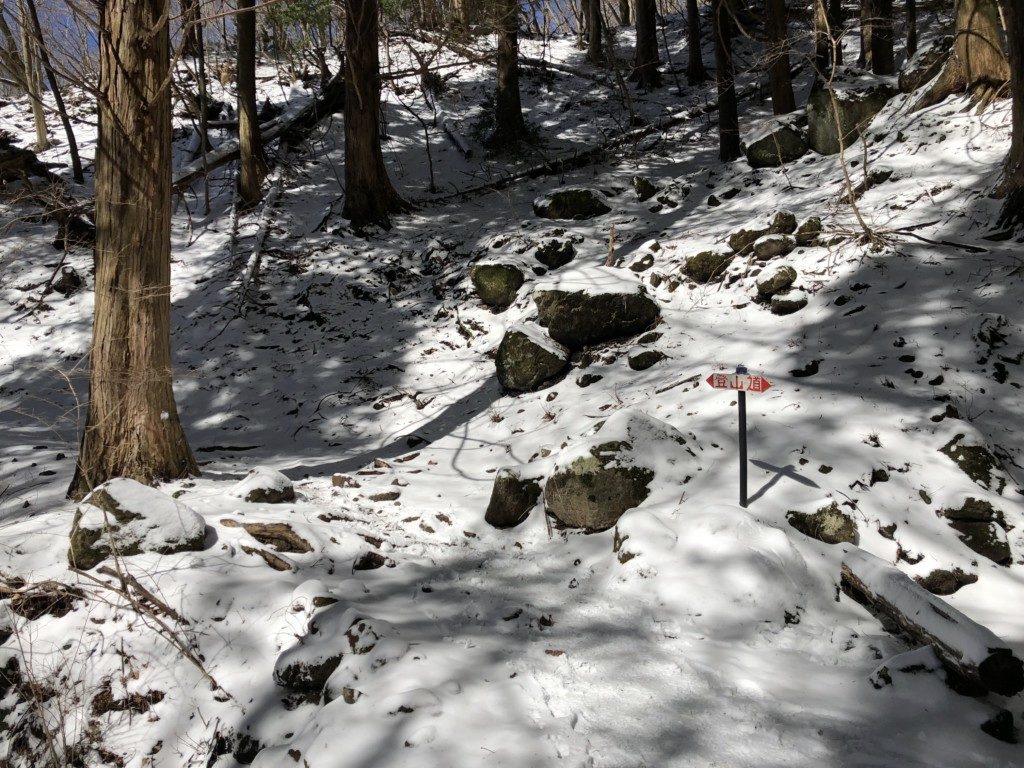 雪のトレイル