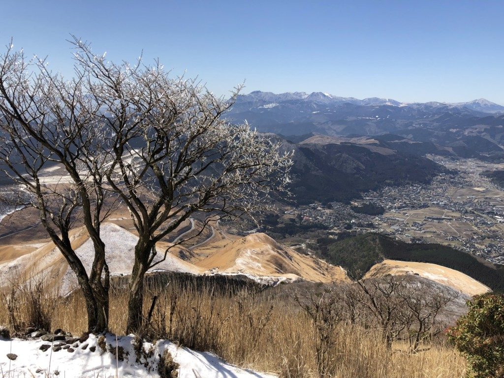 樹氷と由布院の町並み