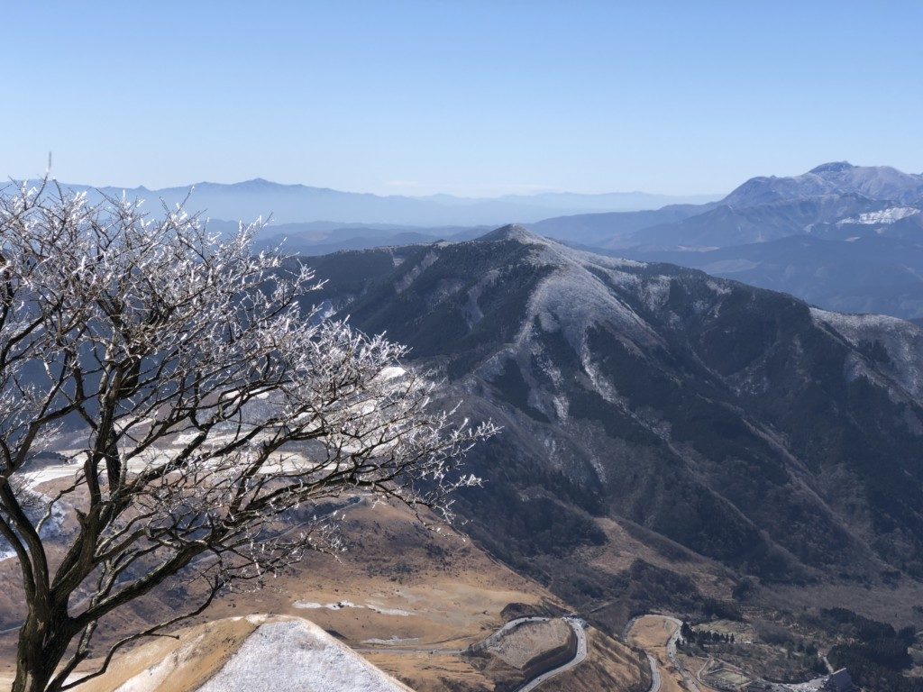 樹氷その2