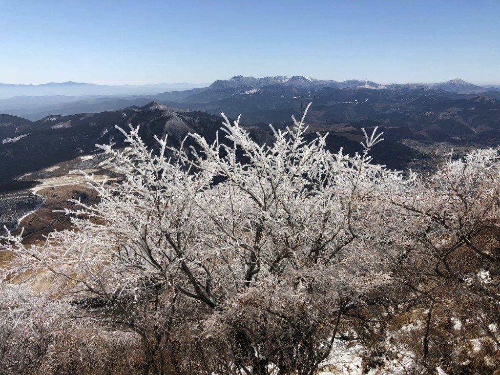 樹氷その3