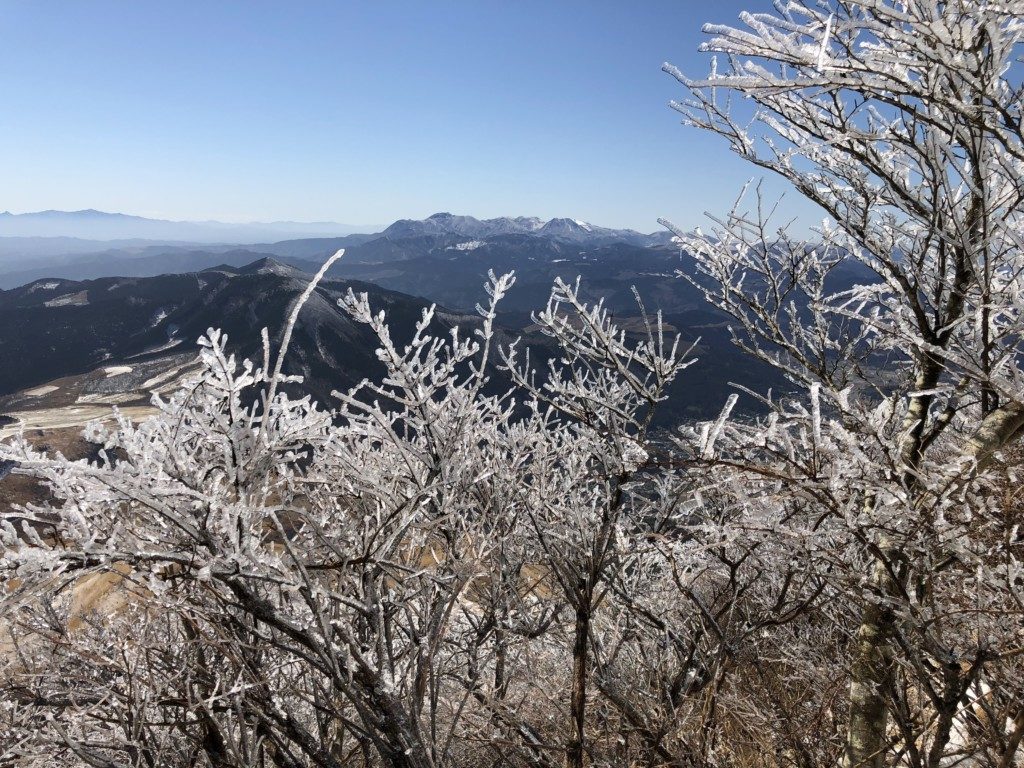 樹氷その4