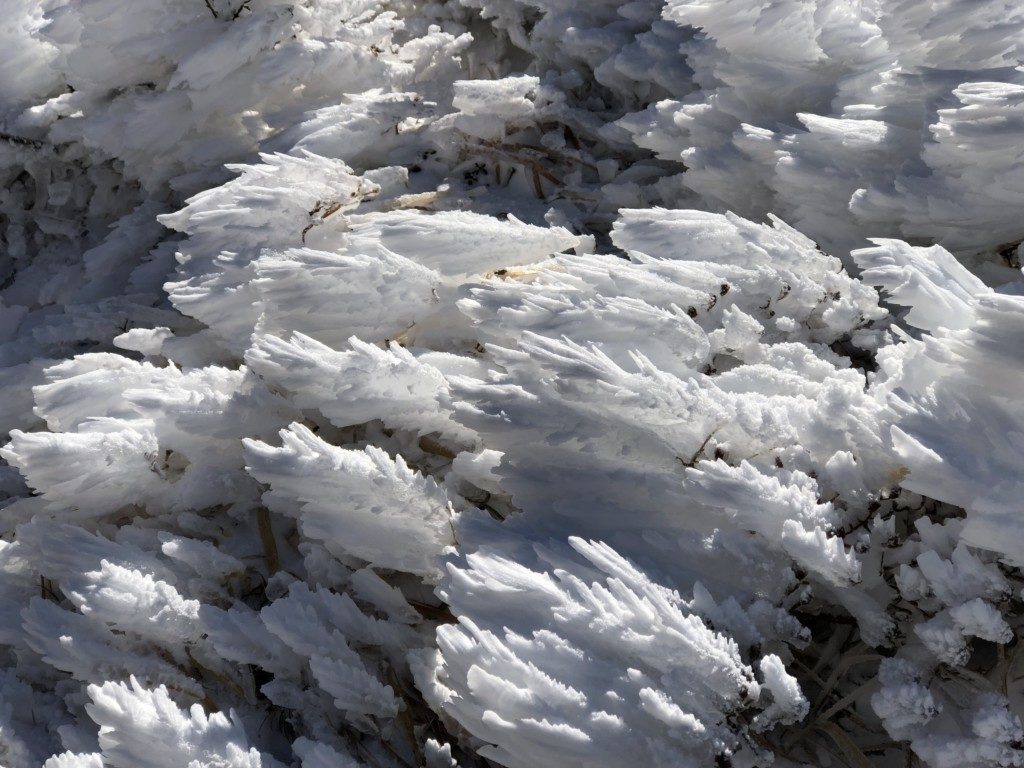 樹氷その7