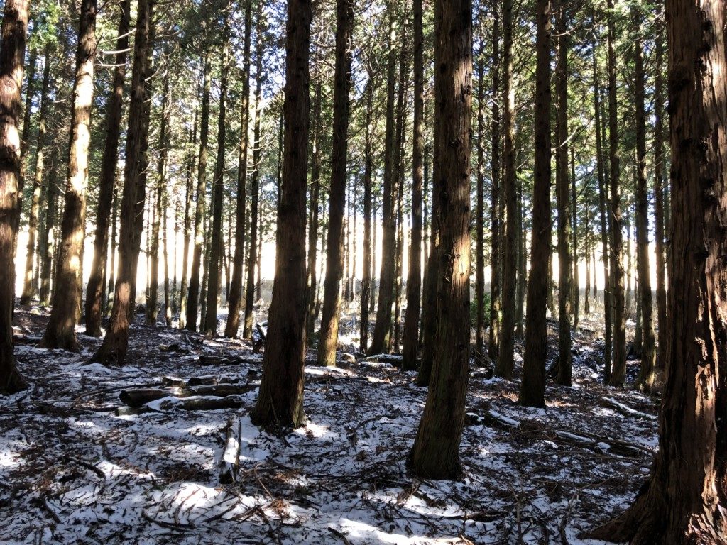 西登山口ルートの雪
