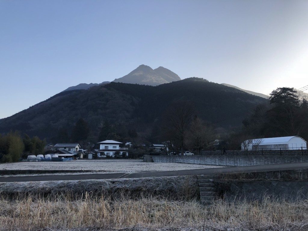 霜と由布岳