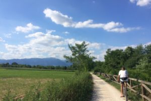 イタリアの田舎の風景