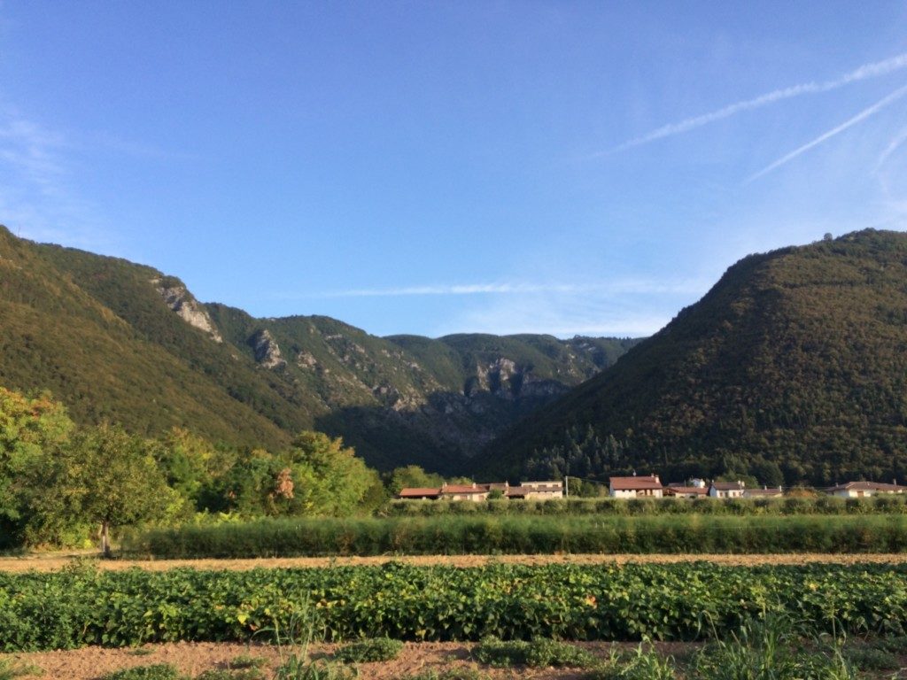 翌朝の田舎町