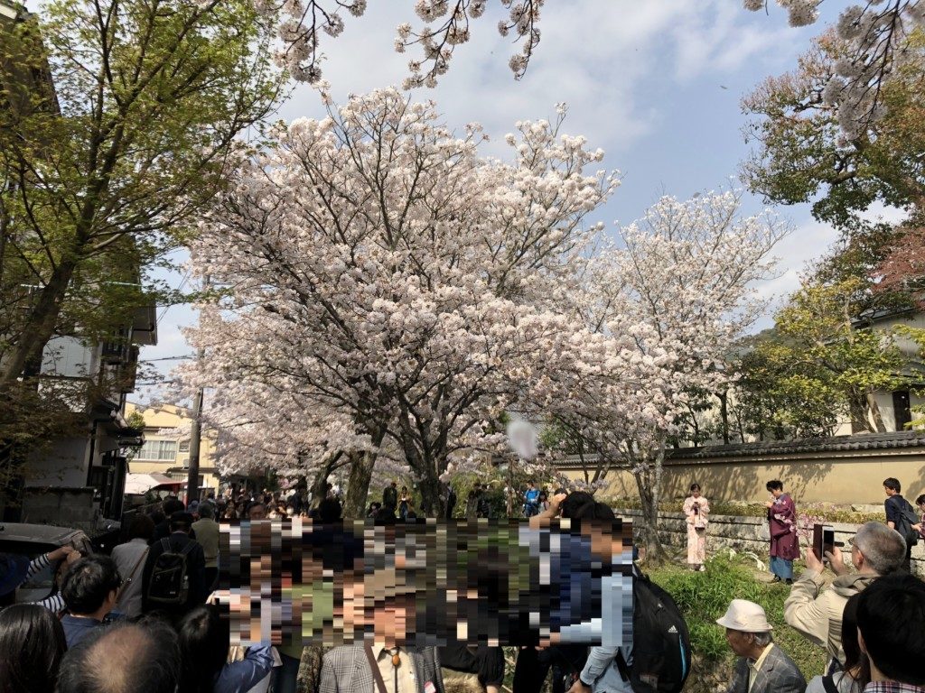 哲学の道の人の多さ