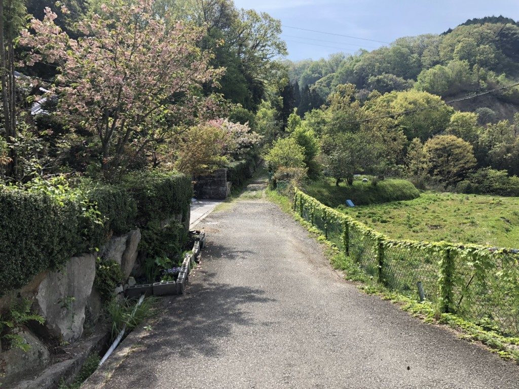 上杉尾根コース