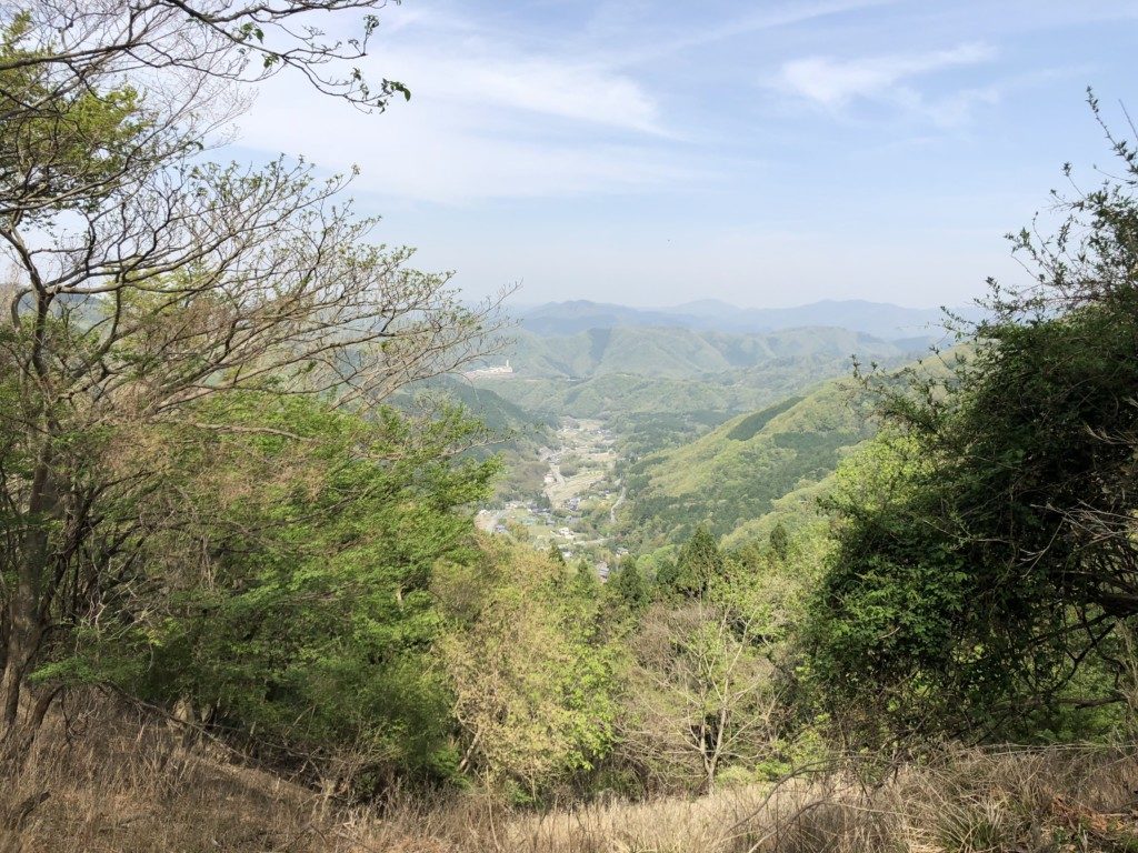展望