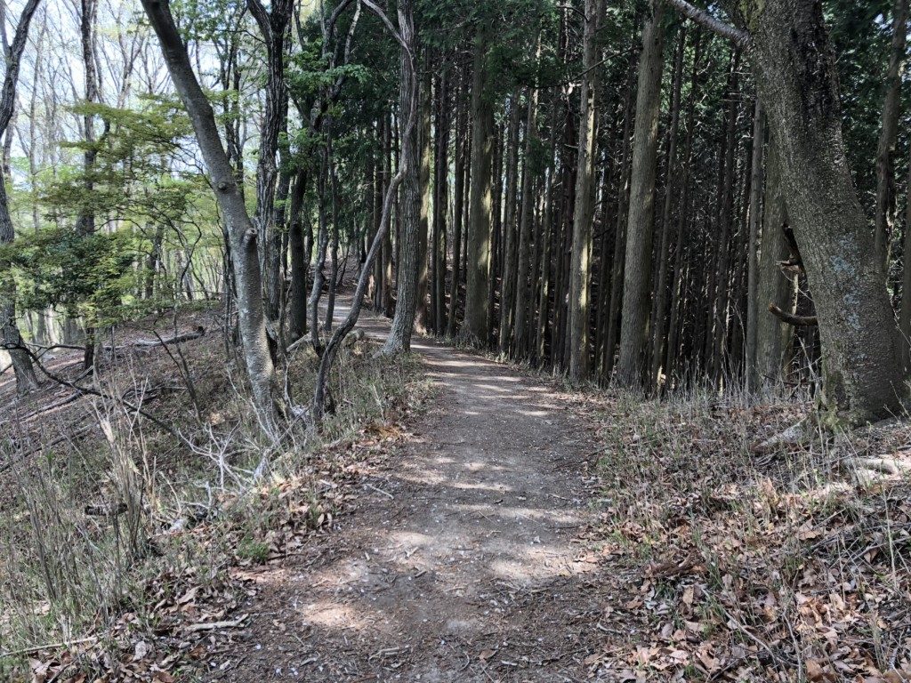 上杉尾根コースその5