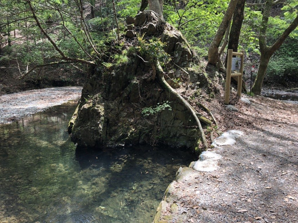 綺麗な水