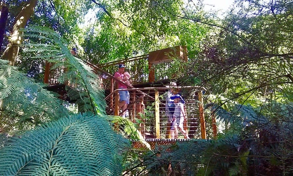 Lyrebird Aviary