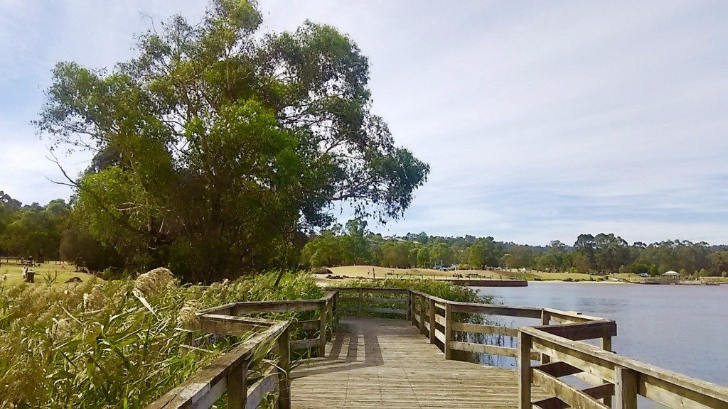 Lilydale Lake