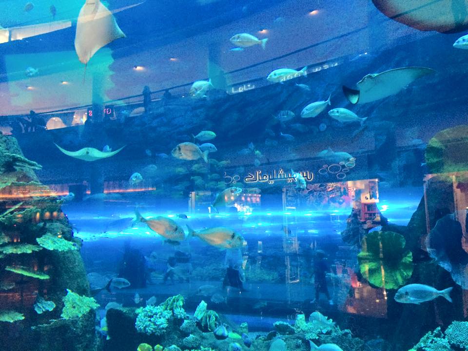 水族館