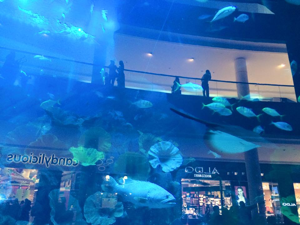 ドバイ水族館館内