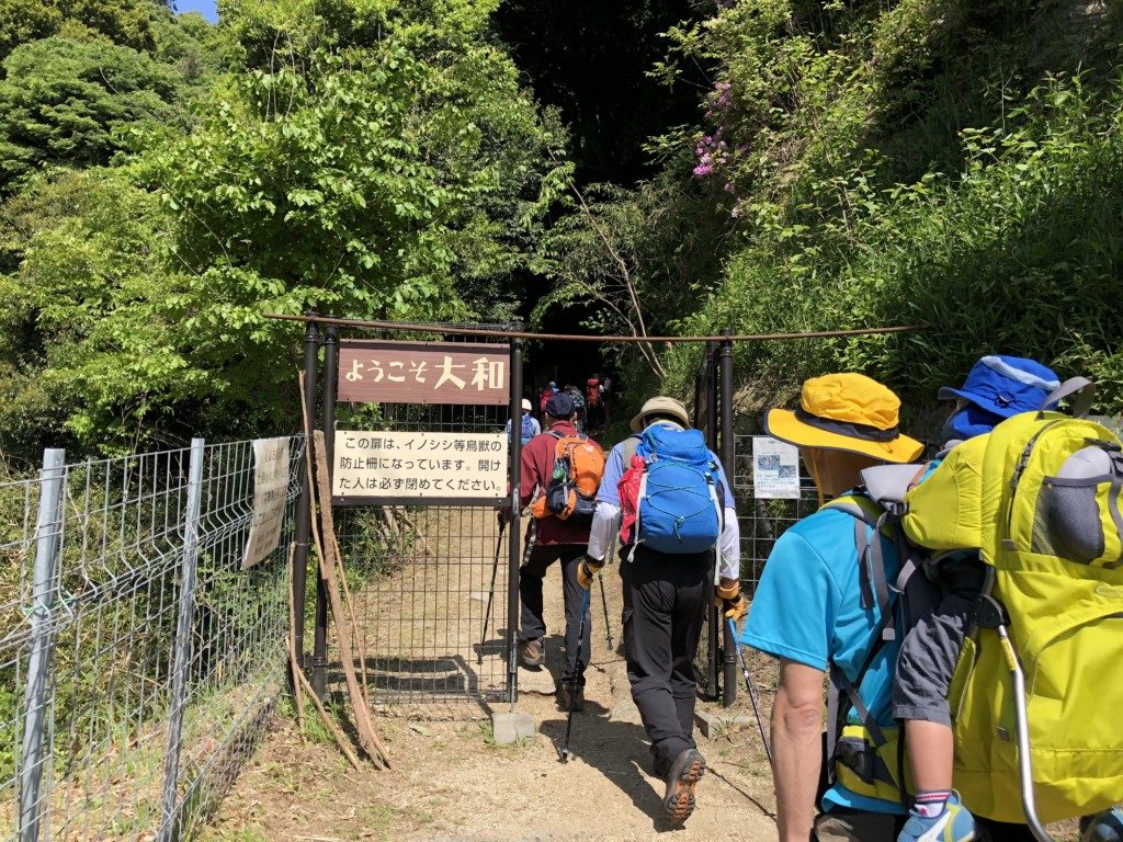 櫛羅の滝コースその2