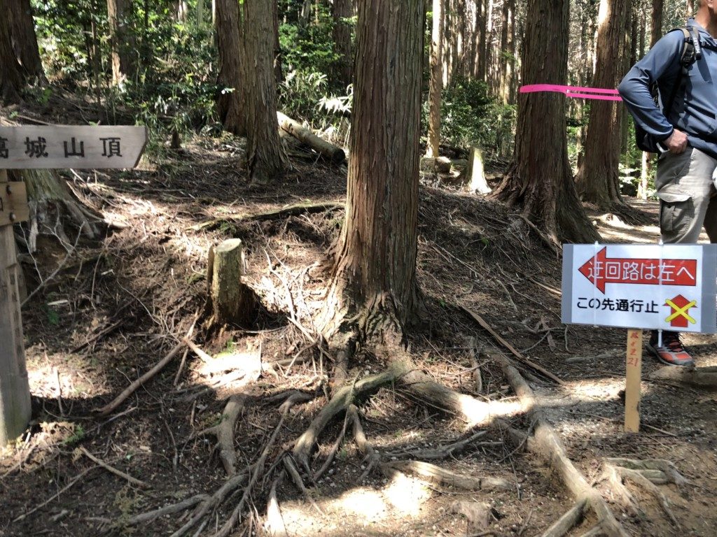 迂回路