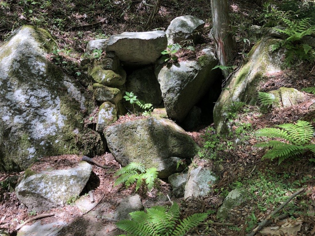 苔むす岩