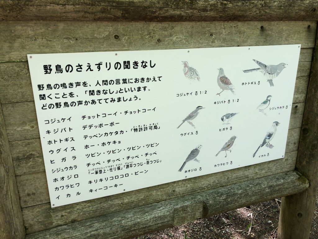 野鳥のさえずり