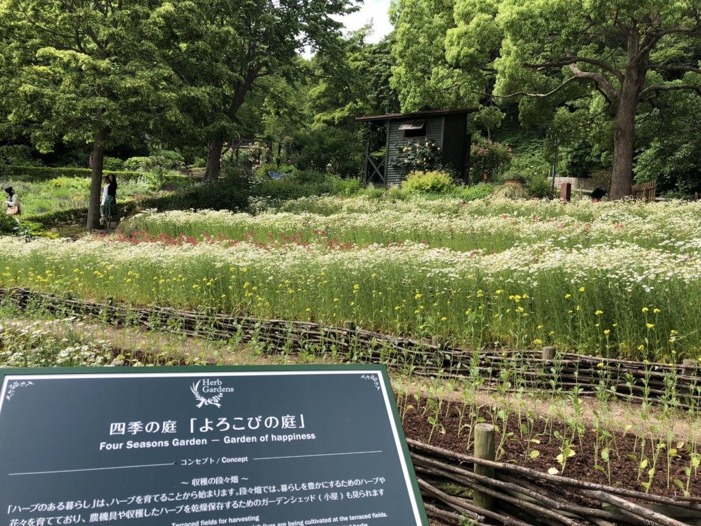 よろこびの庭