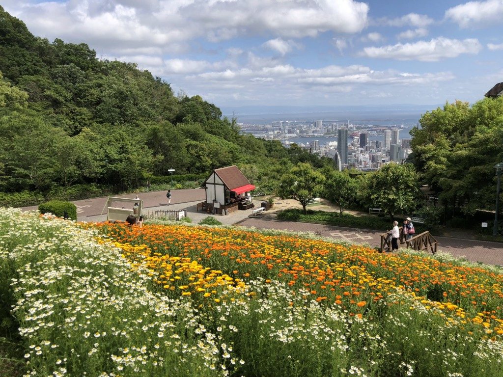 布引ハーブ園の風景