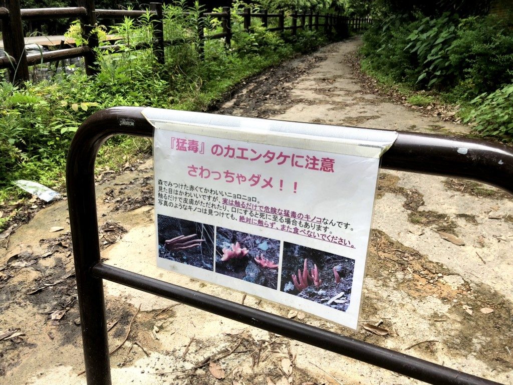 カエンタケ