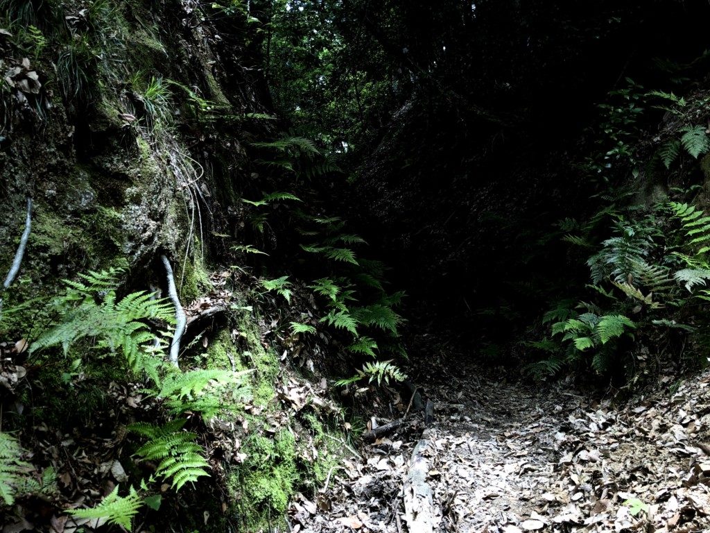 比叡山トレイル