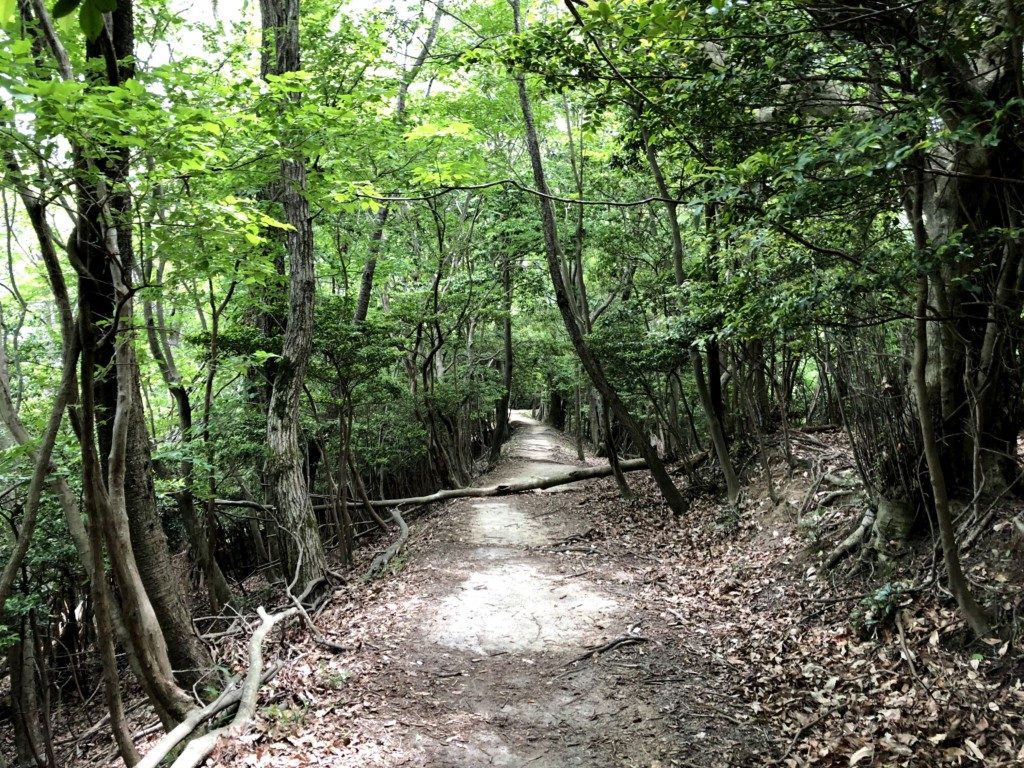 尾根道