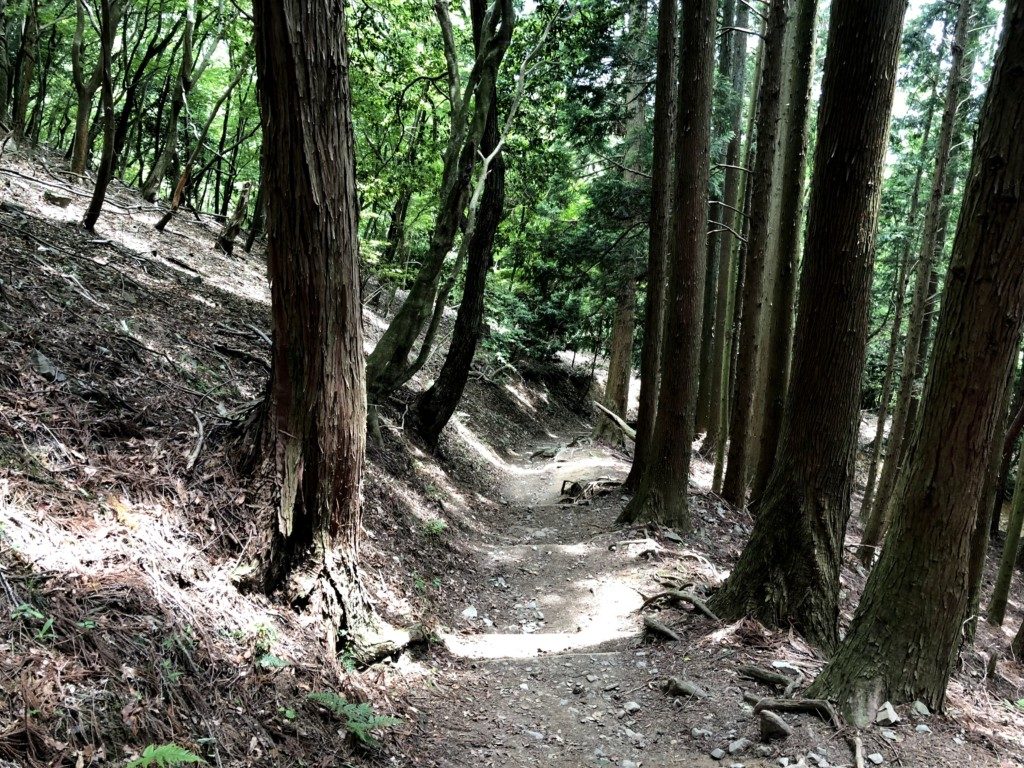 尾根道その2