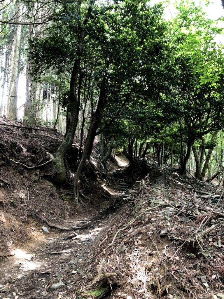 比叡山トレイルその4