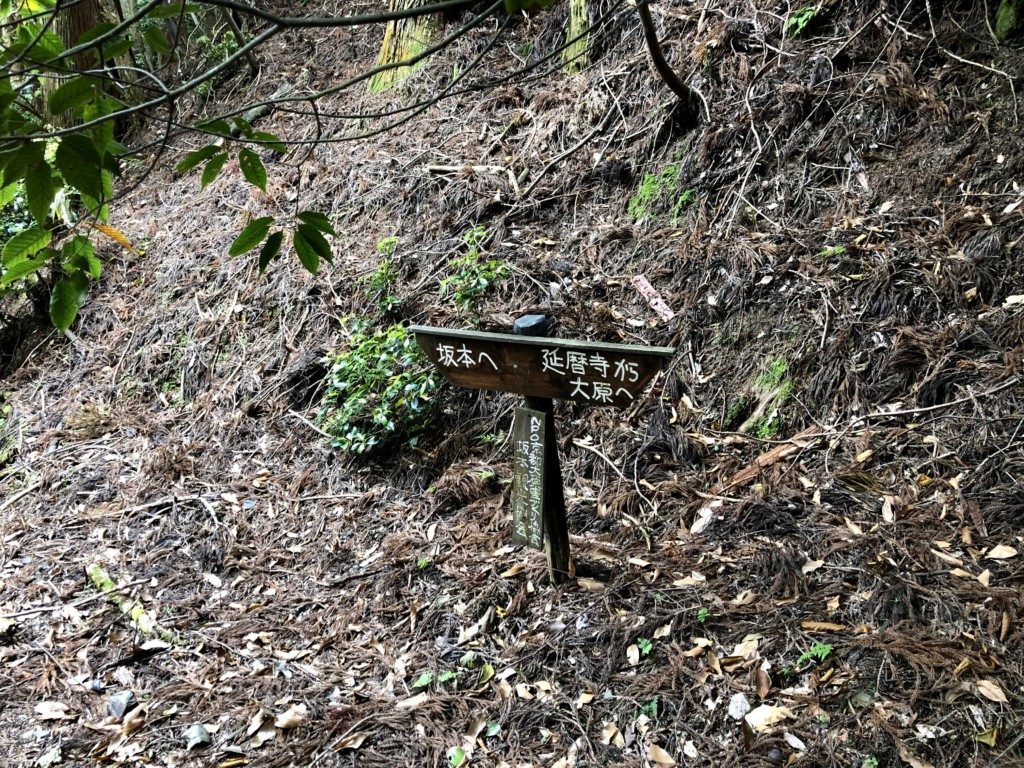 坂本へ