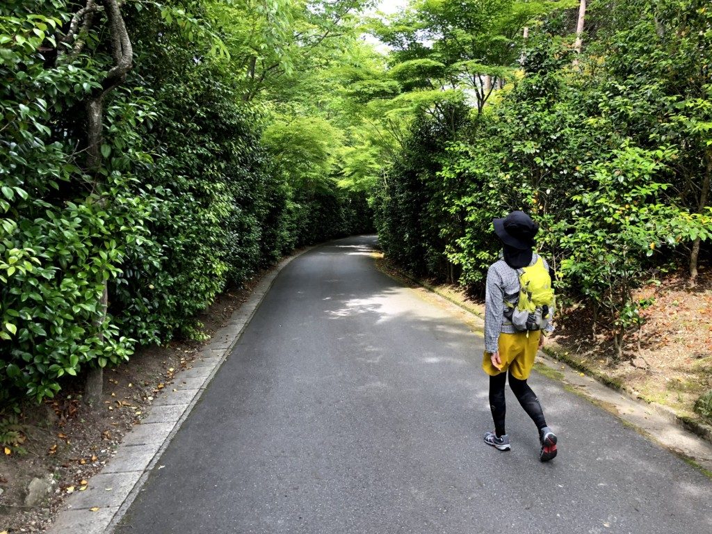 比叡山トレイルその7