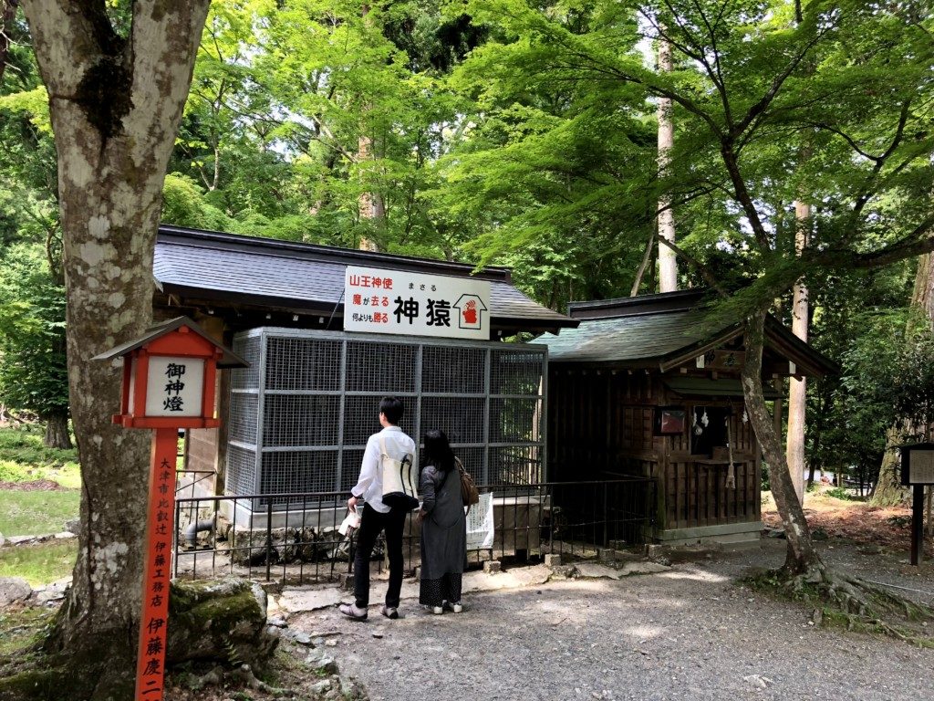 神猿
