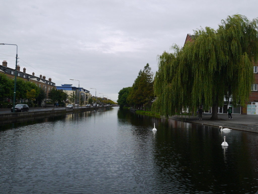 アイルランド風景