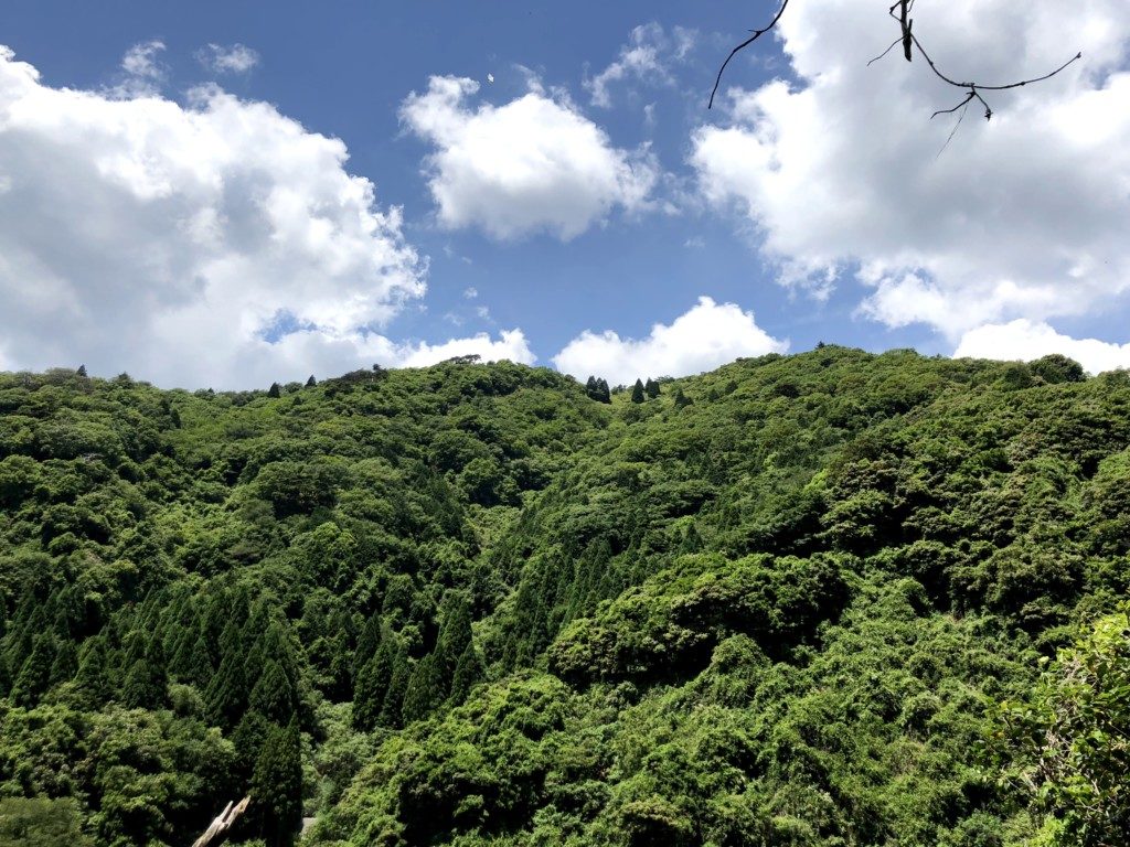 住吉道の景色