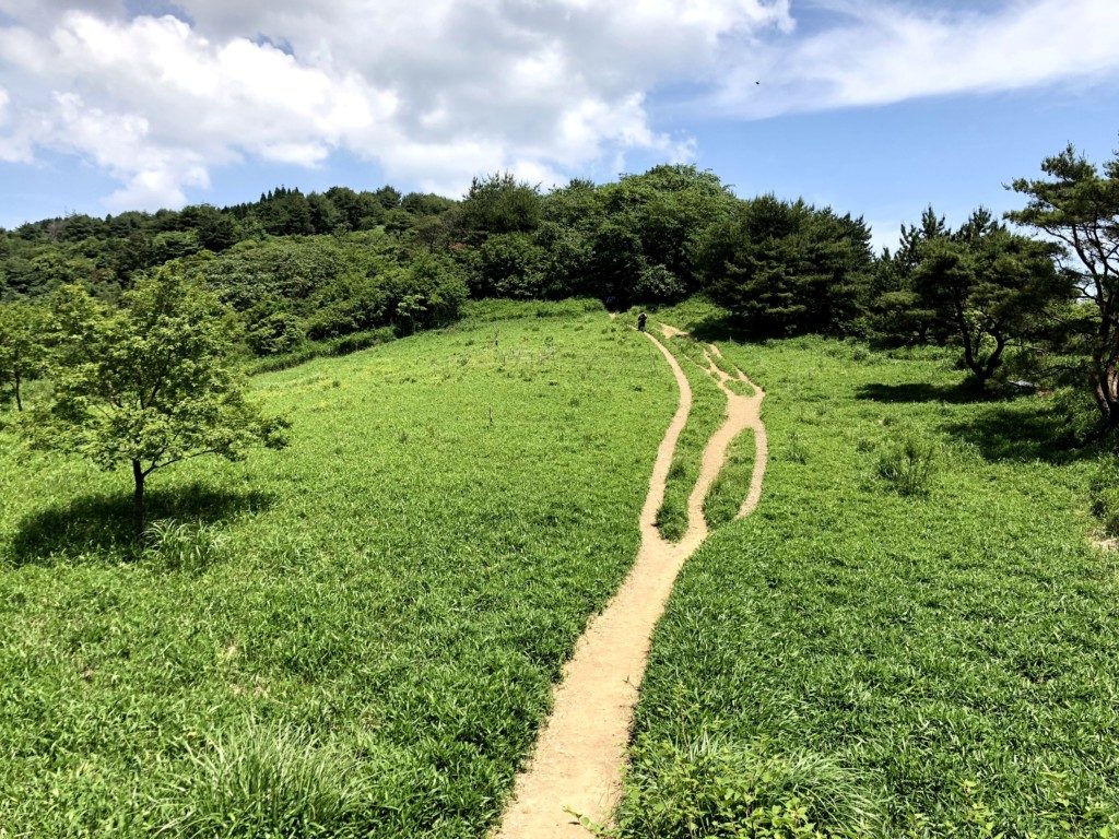 草原