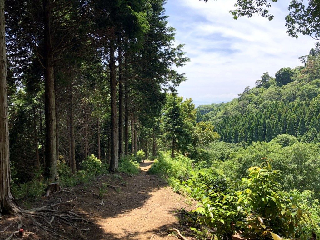 住吉道の渓谷