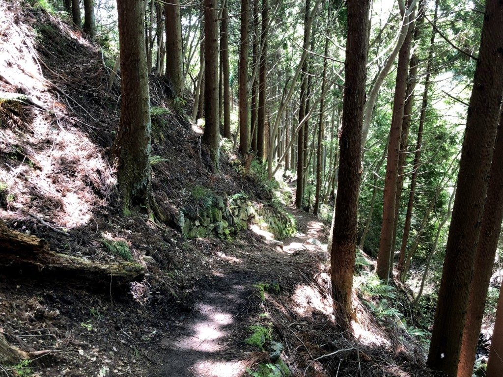 住吉道トレイル