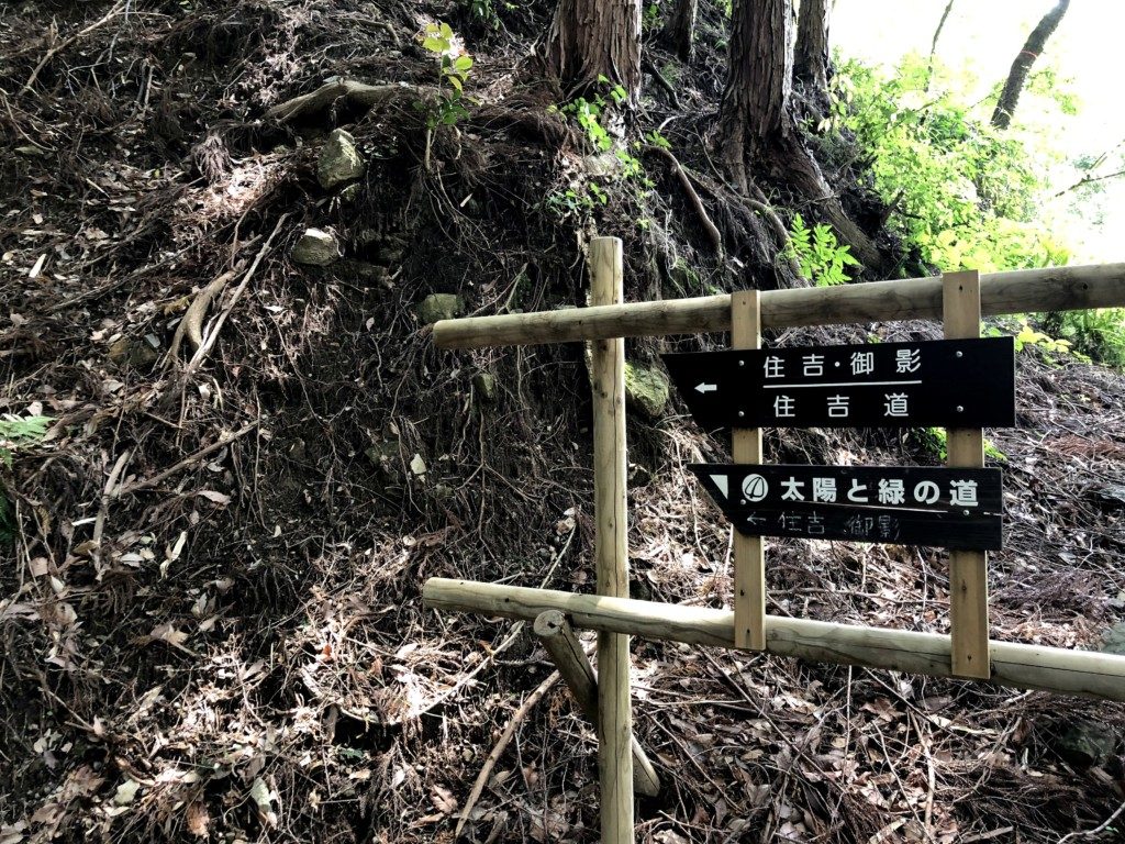 太陽と緑の道