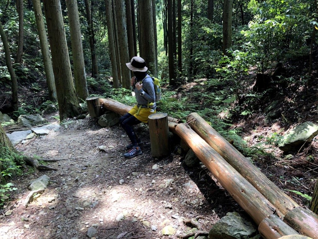 ベンチ
