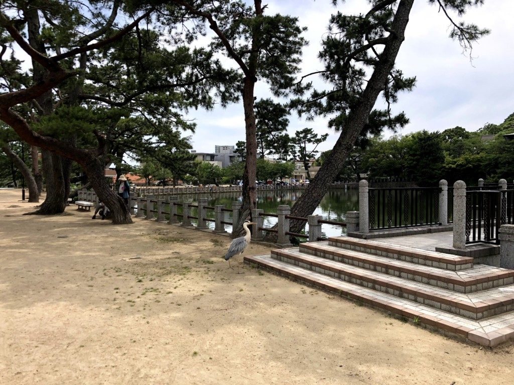 深田池